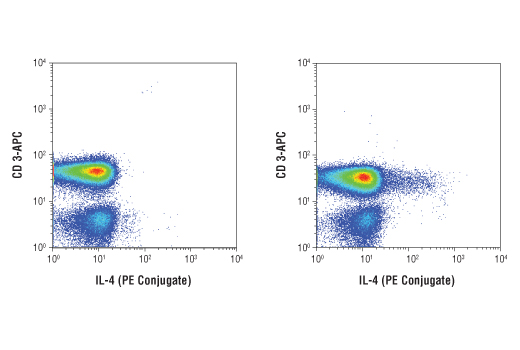 Flow Cytometry Image 1: IL-4 (D19A10) Rabbit mAb (PE Conjugate)