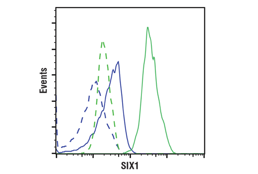 Flow Cytometry Image 1: SIX1 (D4A8K) Rabbit mAb