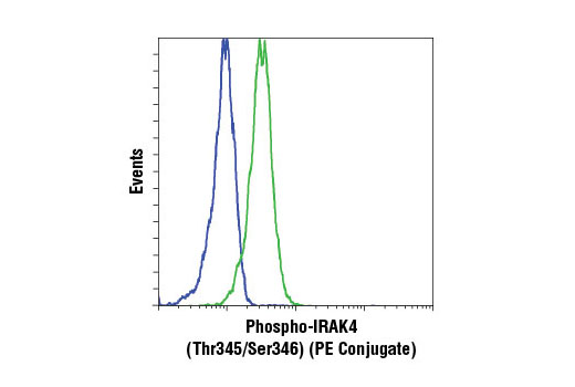 Flow Cytometry Image 1: Phospho-IRAK4 (Thr345/Ser346) (D6D7) Rabbit mAb (PE Conjugate)