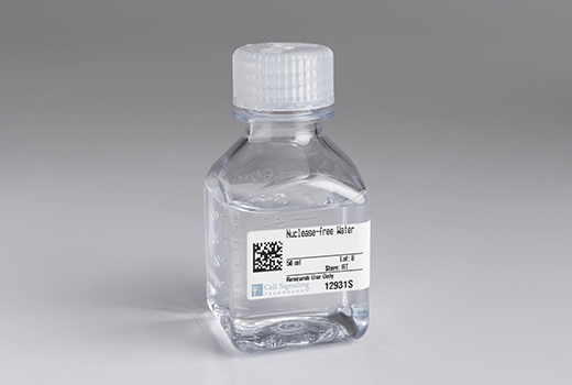  Image 1: Nuclease-free Water