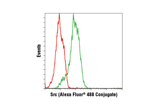 Flow Cytometry Image 1: Src (36D10) Rabbit mAb (Alexa Fluor® 488 Conjugate)