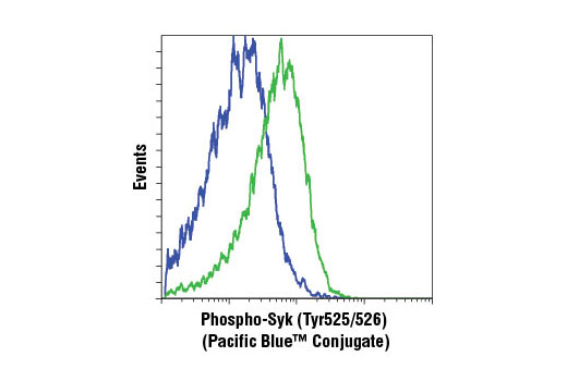 Flow Cytometry Image 1: Phospho-Syk (Tyr525/526) (C87C1) Rabbit mAb (Pacific Blue™ Conjugate)