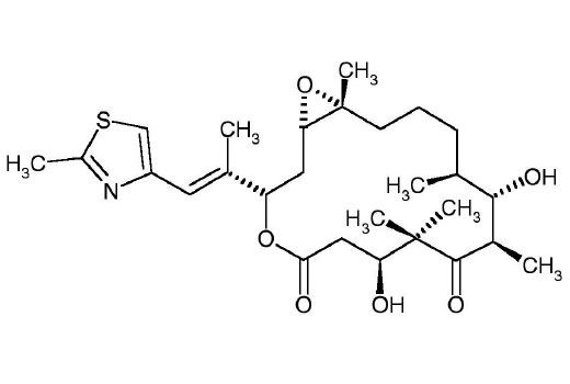  Image 3: Epothilone B