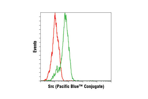 Flow Cytometry Image 1: Src (36D10) Rabbit mAb (Pacific Blue™ Conjugate)