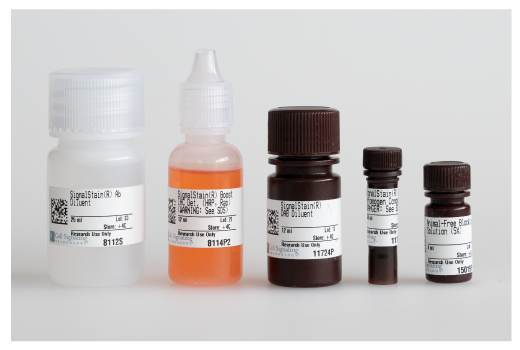  Image 1: Immunohistochemistry Application Solutions Kit (Rabbit)