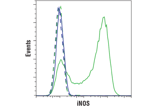 Flow Cytometry Image 1: iNOS (D6B6S) Rabbit mAb