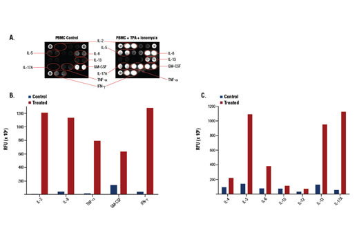  Image 2: PathScan® Th1/Th2/Th17 Cytokine Antibody Array Kit (Fluorescent Readout)