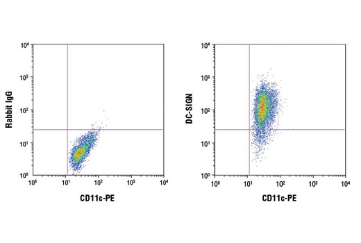Flow Cytometry Image 1: DC-SIGN (D7F5C) XP® Rabbit mAb (BSA and Azide Free)