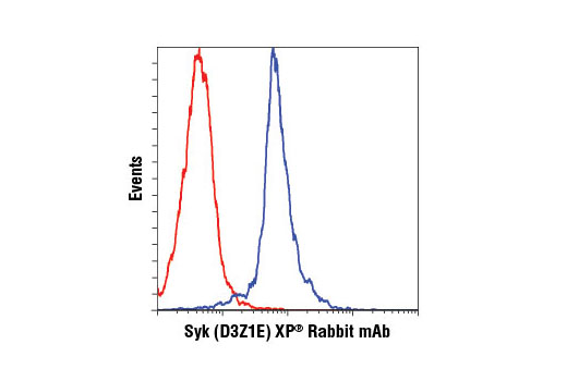 Flow Cytometry Image 1: Syk (D3Z1E) XP® Rabbit mAb