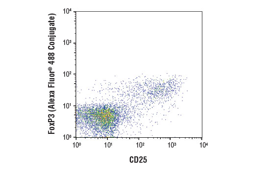 Flow Cytometry Image 2: FoxP3 (D6O8R) Rabbit mAb (Alexa Fluor® 488 Conjugate)