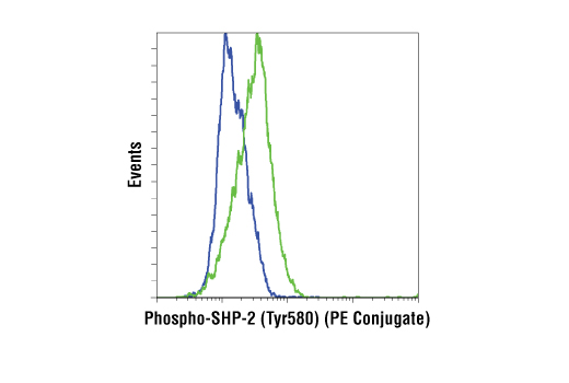 Flow Cytometry Image 1: Phospho-SHP-2 (Tyr580) (D66F10) Rabbit mAb (PE Conjugate)