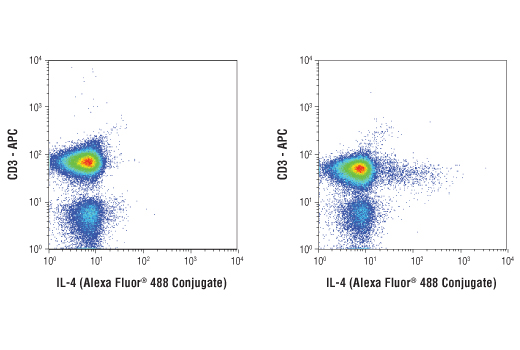 Flow Cytometry Image 1: IL-4 (D19A10) Rabbit mAb (Alexa Fluor® 488 Conjugate)