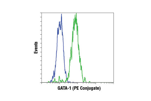 Flow Cytometry Image 1: GATA-1 (D52H6) XP® Rabbit mAb (PE Conjugate)