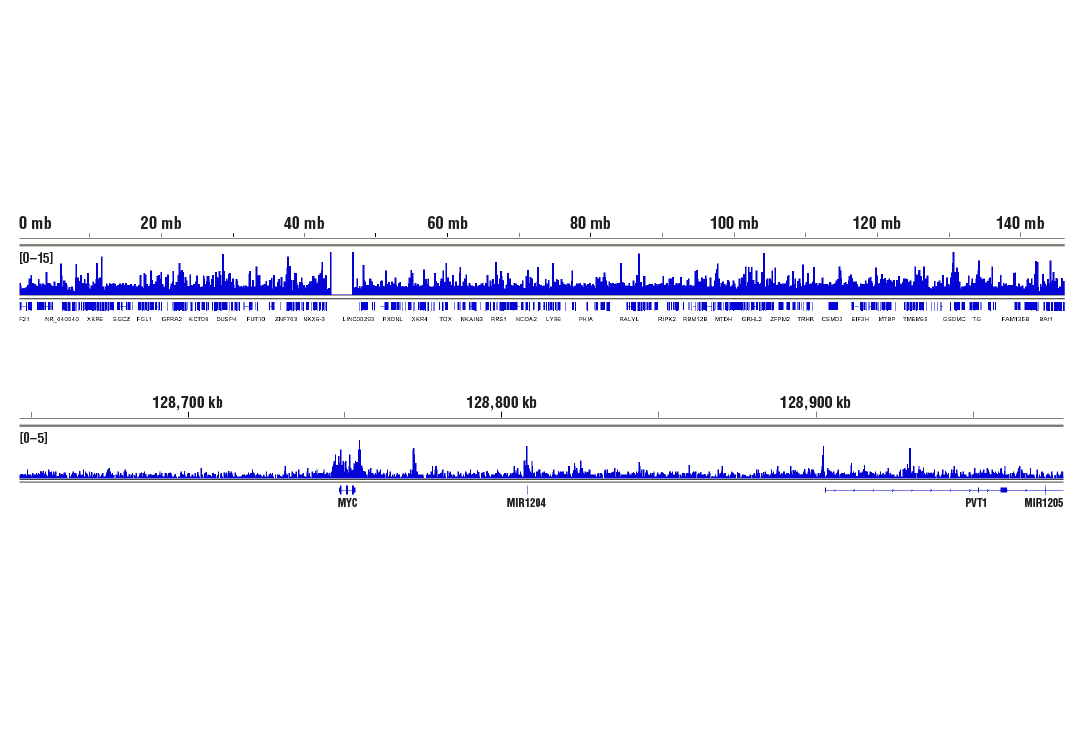 Chromatin Immunoprecipitation Image 2: BRD4 (E2A7X) Rabbit mAb