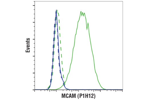 Flow Cytometry Image 1: MCAM (P1H12) Mouse mAb