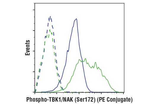 Flow Cytometry Image 1: Phospho-TBK1/NAK (Ser172) (D52C2) XP® Rabbit mAb (PE Conjugate)