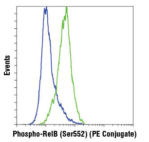 Flow Cytometry Image 1: Phospho-RelB (Ser552) (D41B9) XP® Rabbit mAb (PE Conjugate)
