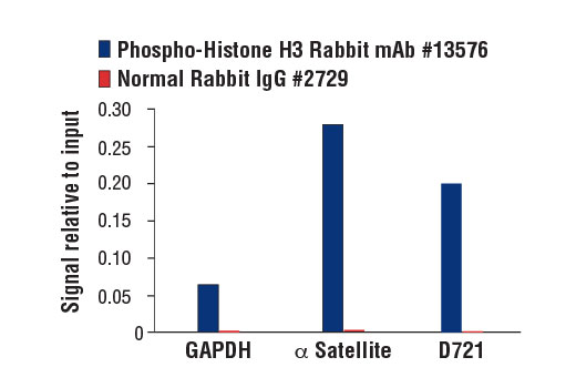 Chromatin Immunoprecipitation Image 1: Phospho-Histone H3 (Thr3) (D5G1I) Rabbit mAb