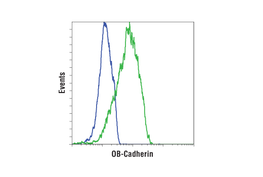 Flow Cytometry Image 2: OB-Cadherin (16G5) Mouse mAb