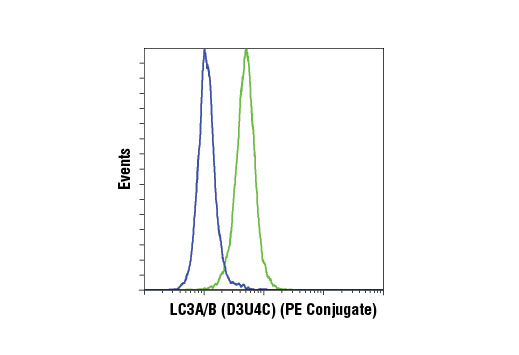 Flow Cytometry Image 1: LC3A/B (D3U4C) XP® Rabbit mAb (PE Conjugate)