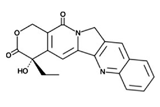  Image 2: Camptothecin