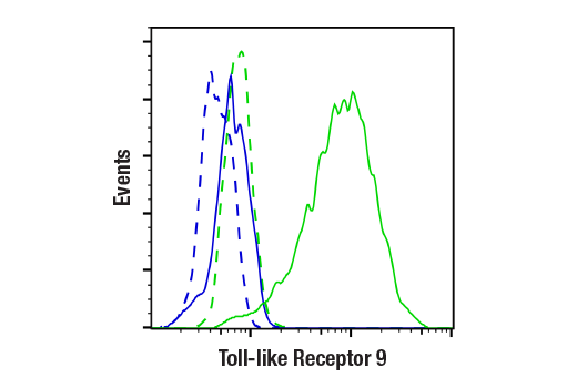  Image 19: Toll-like Receptor Antibody Sampler Kit II