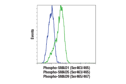Flow Cytometry Image 1: Phospho-SMAD1 (Ser463/465)/ SMAD5 (Ser463/465)/ SMAD9 (Ser465/467) (D5B10) Rabbit mAb