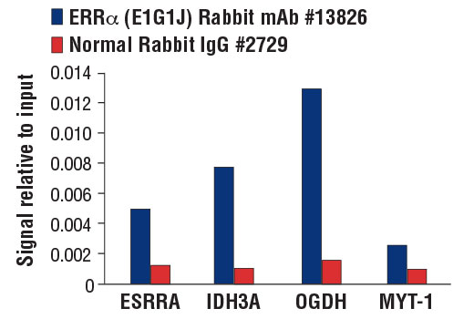 Chromatin Immunoprecipitation Image 3: ERRα (E1G1J) Rabbit mAb