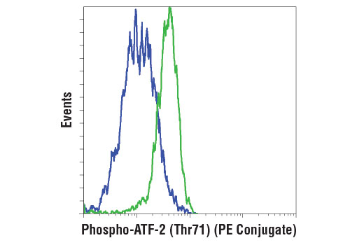 Flow Cytometry Image 1: Phospho-ATF-2 (Thr71) (11G2) Rabbit mAb (PE Conjugate)