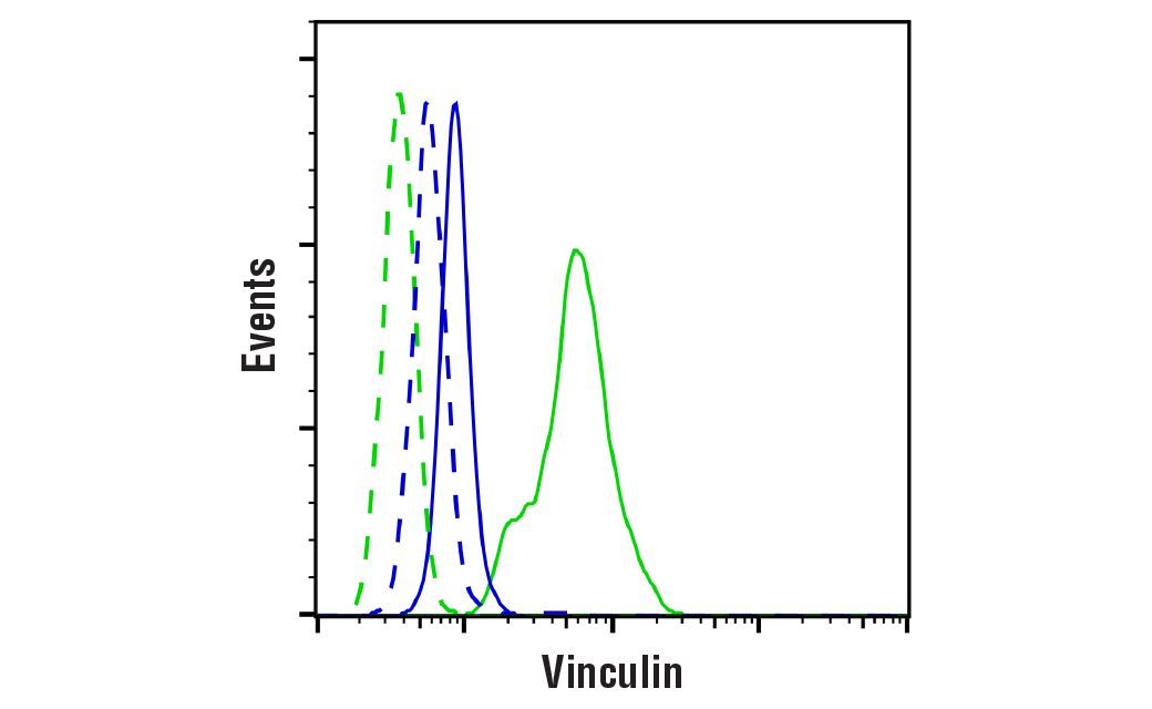 Flow Cytometry Image 1: Vinculin (E1E9V) XP® Rabbit mAb