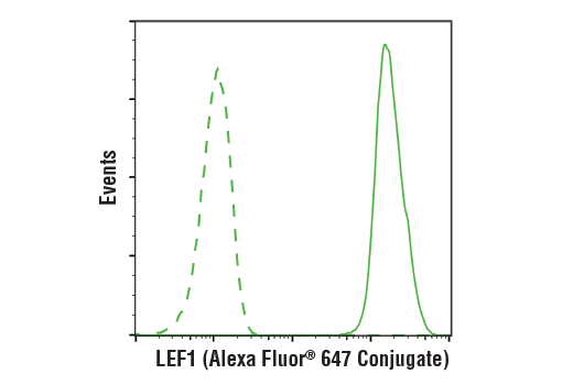Flow Cytometry Image 3: LEF1 (C12A5) Rabbit mAb (Alexa Fluor® 647 Conjugate)
