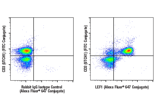 Flow Cytometry Image 1: LEF1 (C12A5) Rabbit mAb (Alexa Fluor® 647 Conjugate)