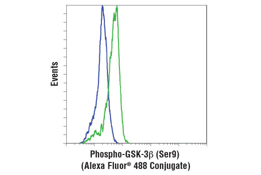 Flow Cytometry Image 1: Phospho-GSK-3β (Ser9) (D85E12) XP® Rabbit mAb (Alexa Fluor® 488 Conjugate)
