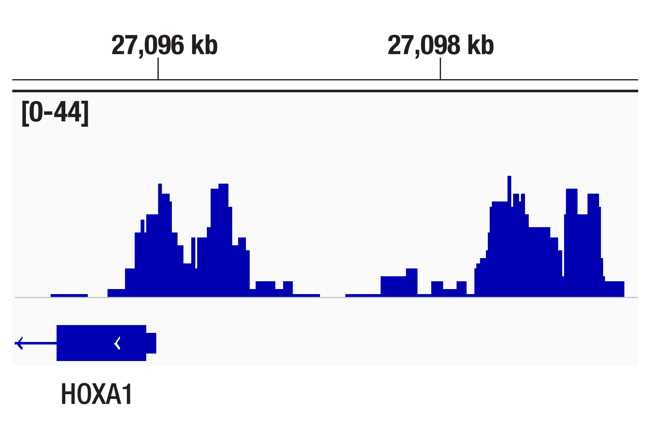 CUT & Tag Image 1: AEBP2 (D7C6X) Rabbit Monoclonal Antibody