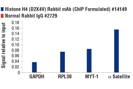 Chromatin Immunoprecipitation Image 1: Histone H4 (D2X4V) Rabbit mAb (ChIP Formulated)