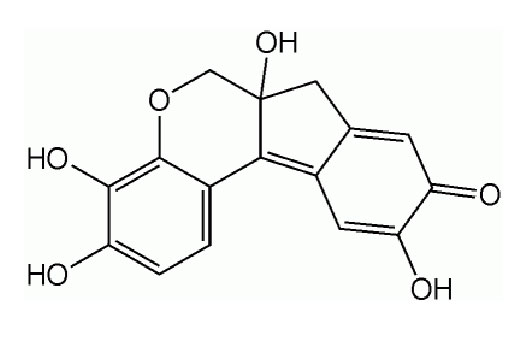  Image 2: Hematoxylin