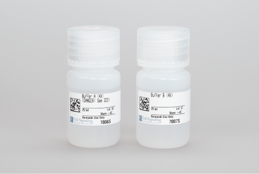  Image 1: SimpleChIP® Enzymatic Cell Lysis Buffers A  B