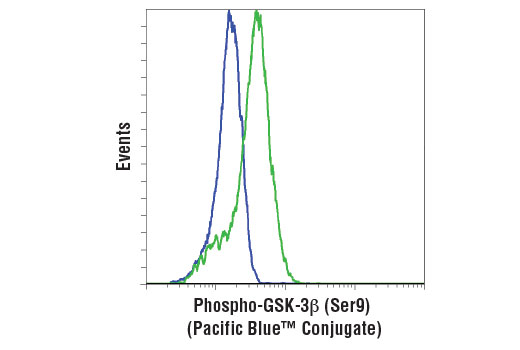 Flow Cytometry Image 1: Phospho-GSK-3β (Ser9) (D85E12) XP® Rabbit mAb (Pacific Blue™ Conjugate)