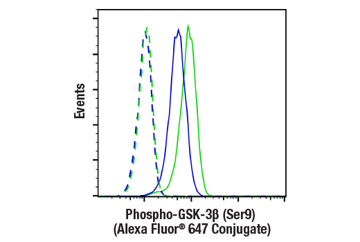 Flow Cytometry Image 1: Phospho-GSK-3β (Ser9) (D85E12) XP® Rabbit mAb (Alexa Fluor® 647 Conjugate)