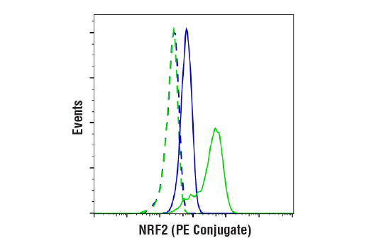 Flow Cytometry Image 1: NRF2 (D1Z9C) XP® Rabbit mAb (PE Conjugate)
