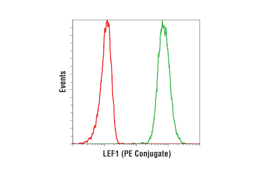 Flow Cytometry Image 1: LEF1 (C12A5) Rabbit mAb (PE Conjugate)
