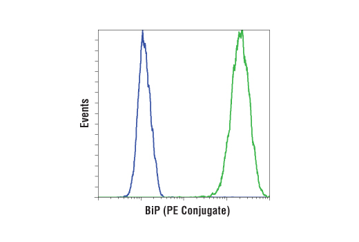 Flow Cytometry Image 1: BiP (C50B12) Rabbit mAb (PE Conjugate)