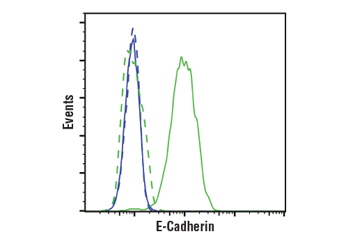 Flow Cytometry Image 1: E-Cadherin (4A2) Mouse mAb