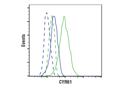 Flow Cytometry Image 1: CYR61 (D4H5D) XP® Rabbit mAb