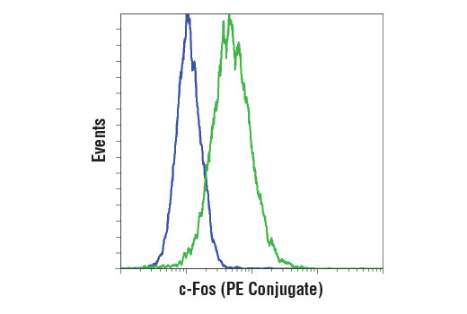 Flow Cytometry Image 1: c-Fos (9F6) Rabbit mAb (PE Conjugate)