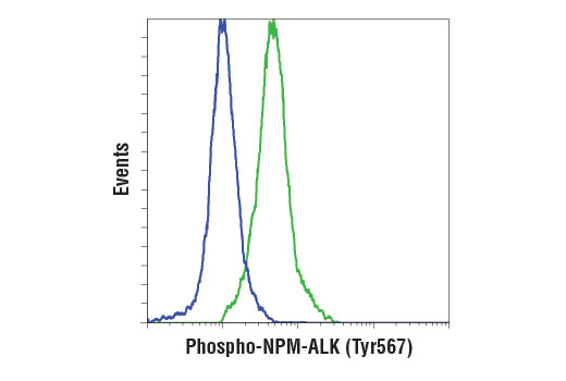 Flow Cytometry Image 1: Phospho-ALK (Tyr1507) (D6F1V) Rabbit mAb