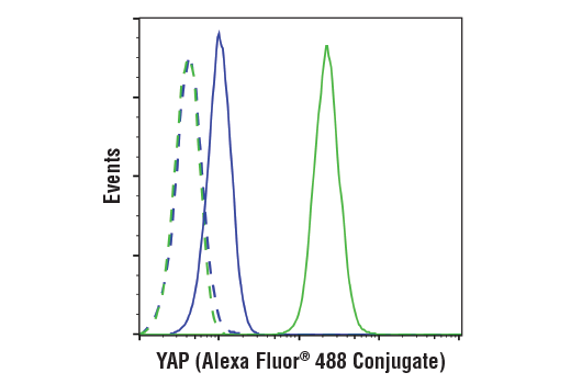Flow Cytometry Image 1: YAP (D8H1X) XP® Rabbit mAb (Alexa Fluor® 488 Conjugate)