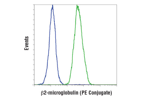 Flow Cytometry Image 1: β2-microglobulin (D8P1H) Rabbit mAb (PE Conjugate)