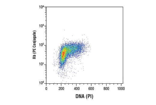 Flow Cytometry Image 1: Rb (4H1) Mouse mAb (PE Conjugate)