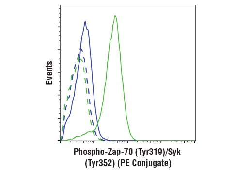 Flow Cytometry Image 1: Phospho-Zap-70 (Tyr319)/Syk (Tyr352) (65E4) Rabbit mAb (PE Conjugate)